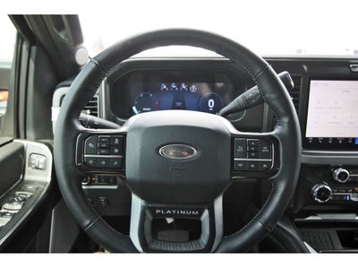 2025 Ford F-350 Platinum